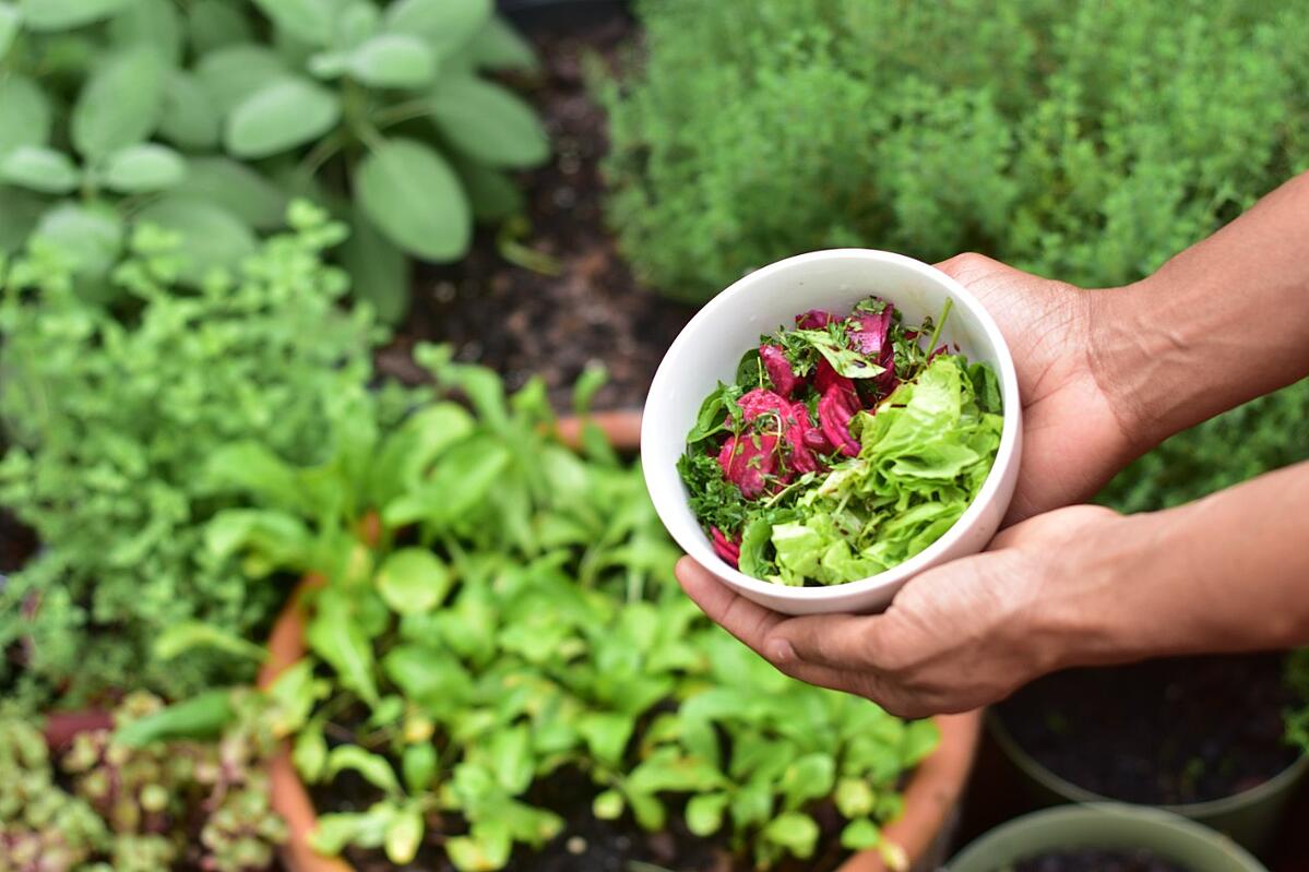 Easy Vegetables To Grow At Home 4