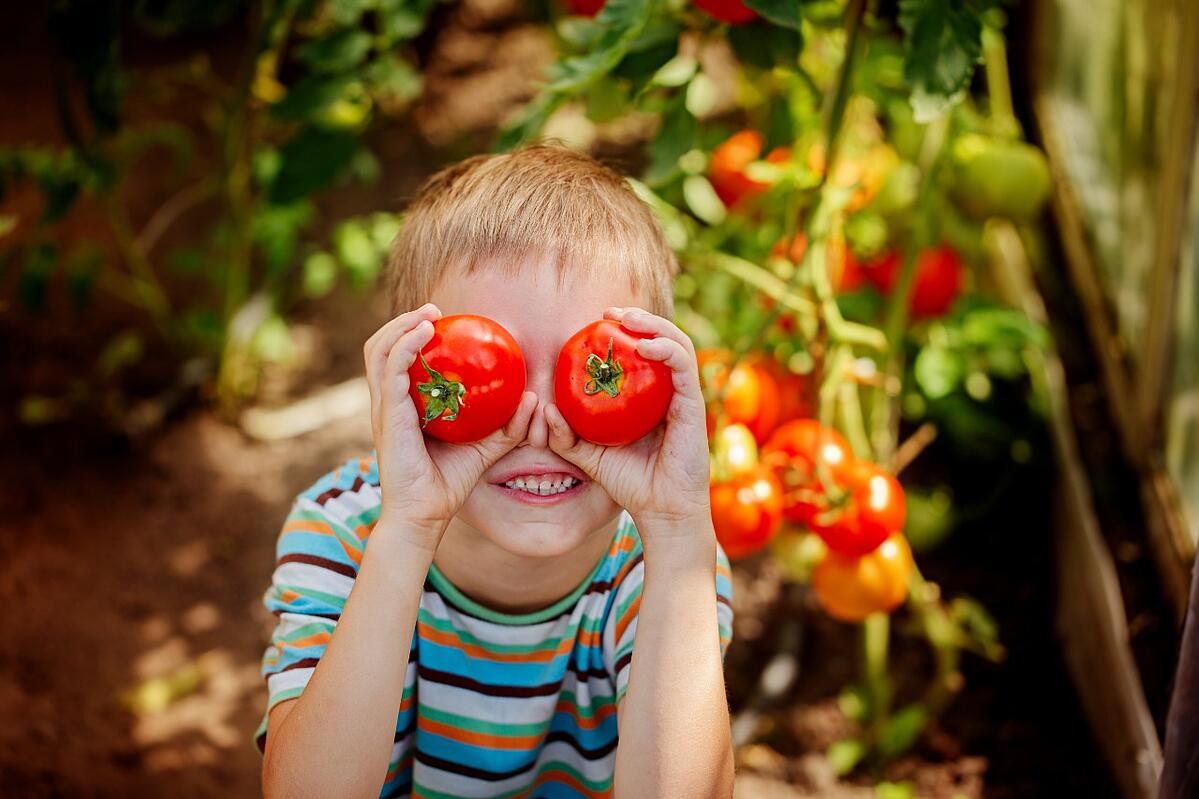 Easy Vegetables To Grow At Home