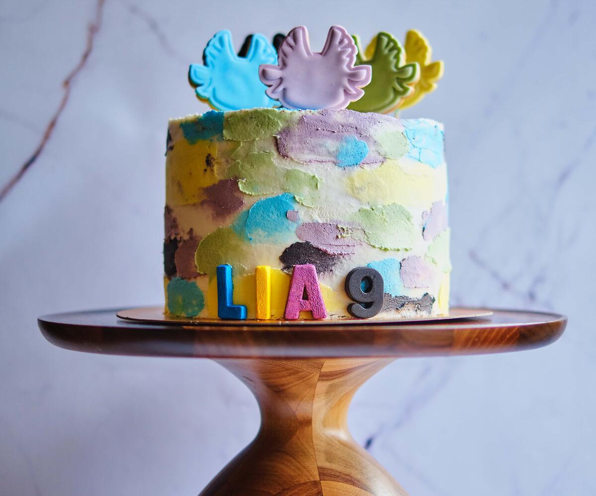 Wonderdal Birthday Cake-1